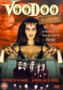       () - Voodoo Academy