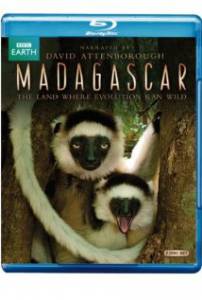      (-) - Madagascar